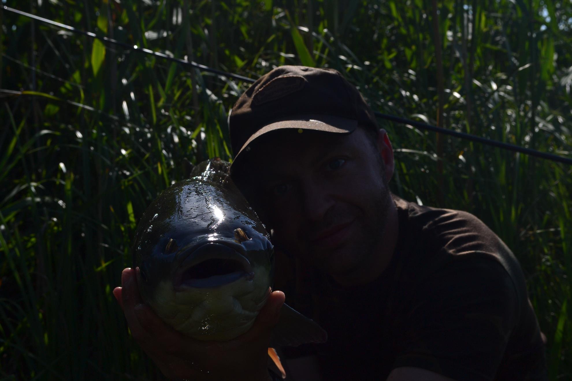 Pescuit Balta Lazar 6-8 iunie 2014 - dsc0032.JPG